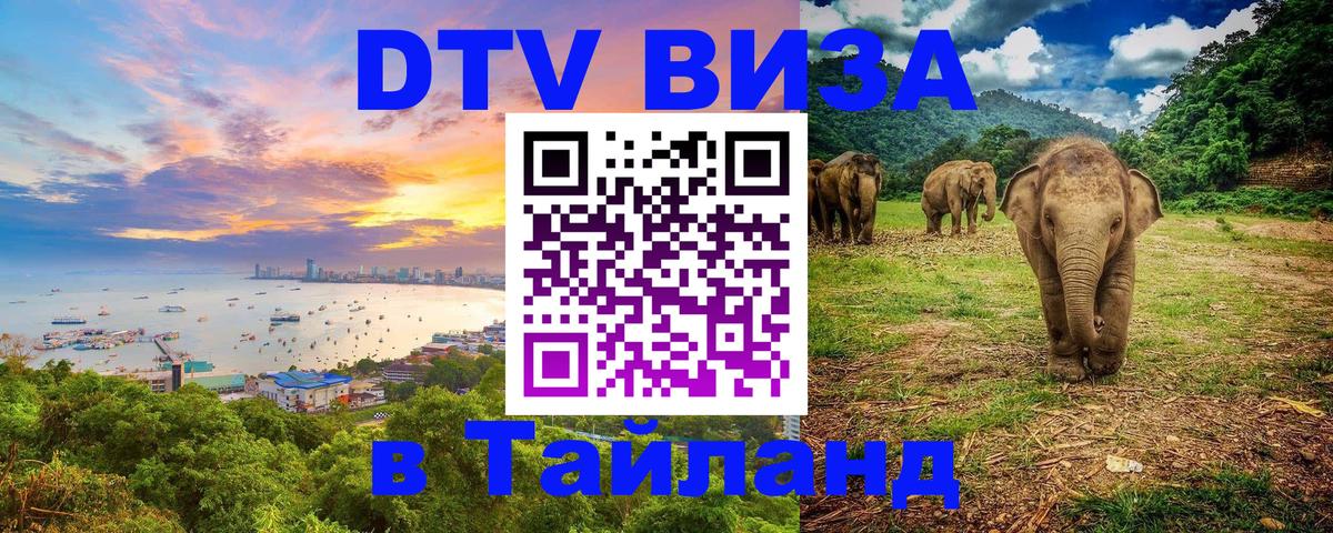 Оформление DTV визы под ключ: стоимость и тарифы, только загранпаспорт - 